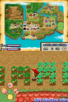 Harvest Moon DS - Island of Happiness (Europe) (En,Fr,De,Es,It) screen shot game playing